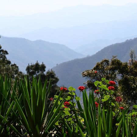 San Jose Del Pacifico- Cabanas Camino Al Cielo 3 Zewnętrze zdjęcie