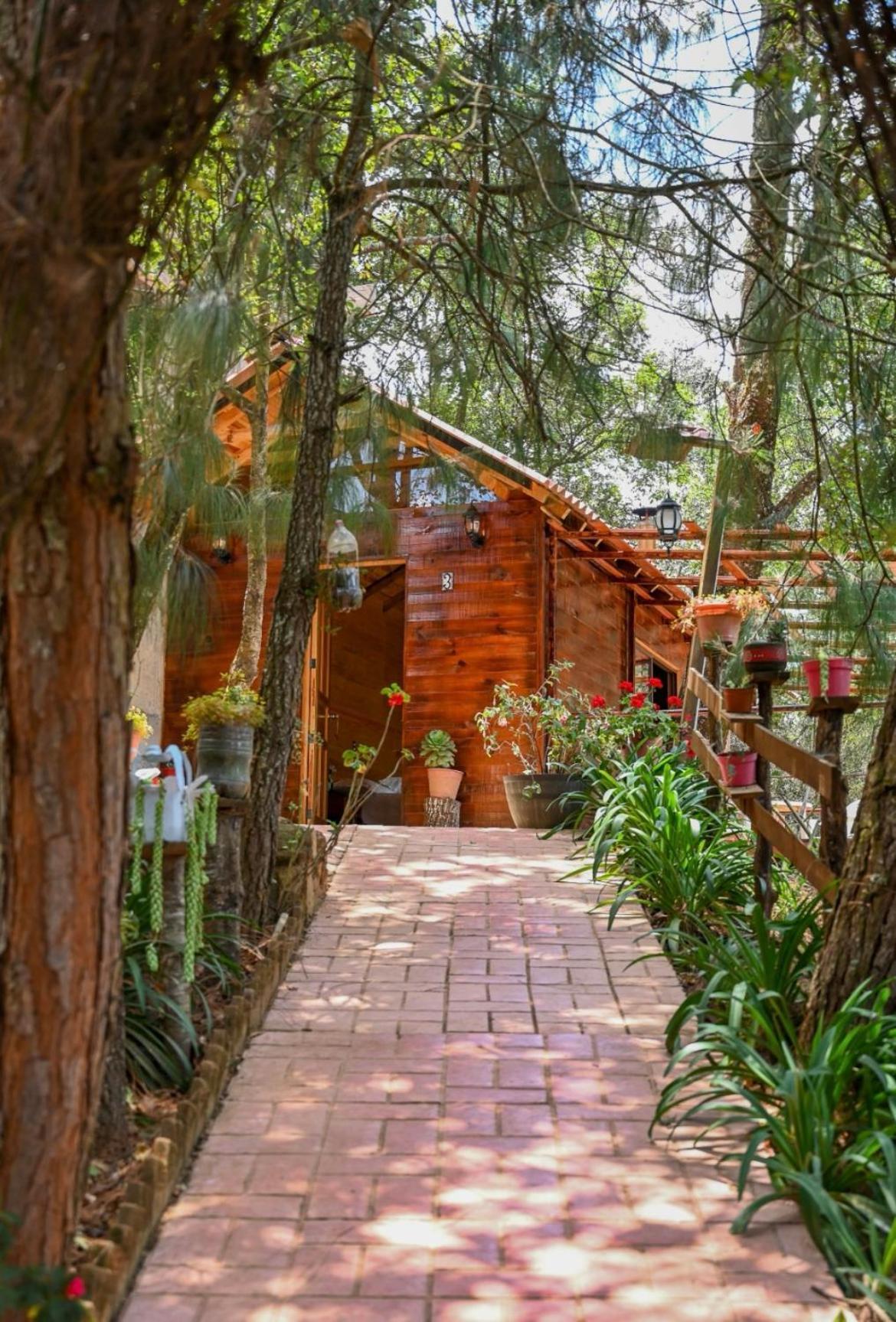 San Jose Del Pacifico- Cabanas Camino Al Cielo 3 Zewnętrze zdjęcie